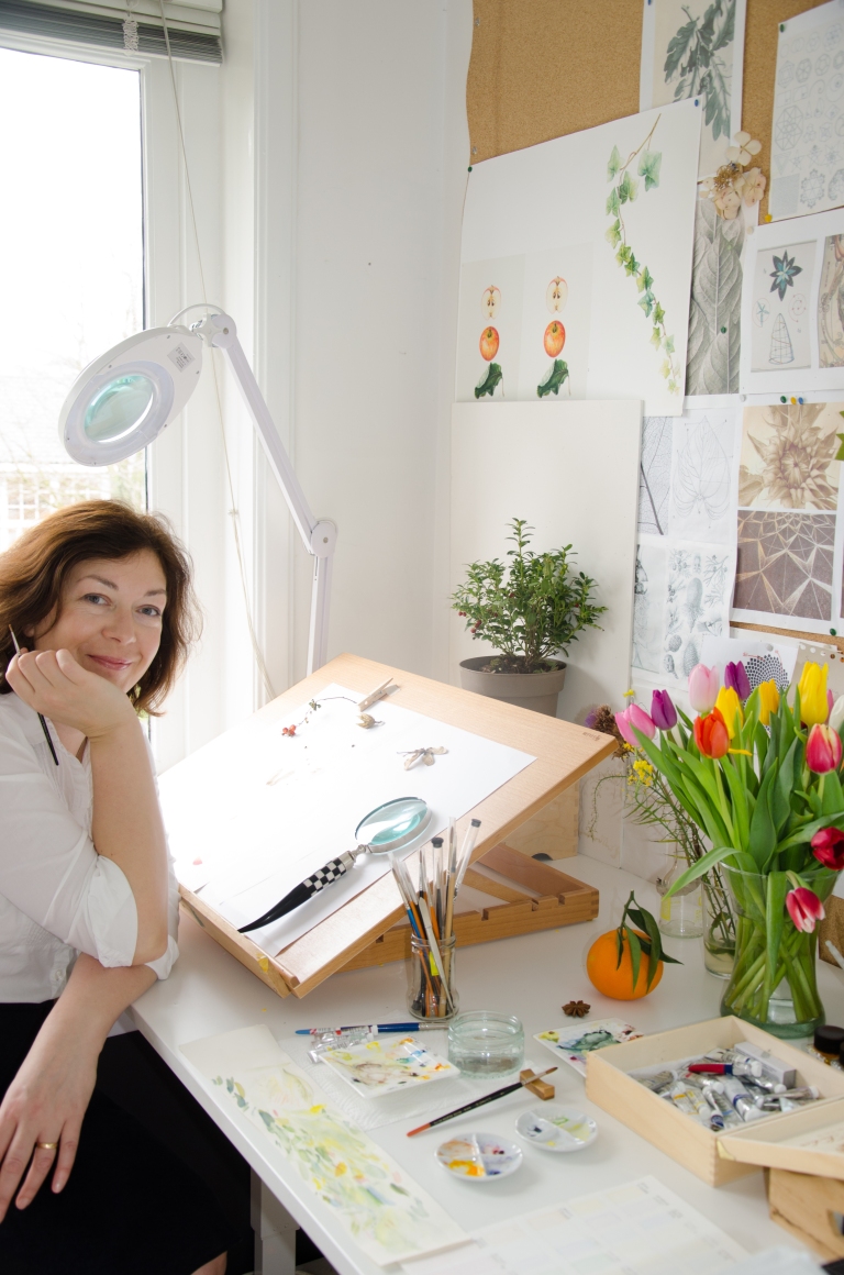 Aet Alev-Kilg botaanilise illustratsiooni kursus Tallinna Botaanikaaias Botaaniline illustratsioon