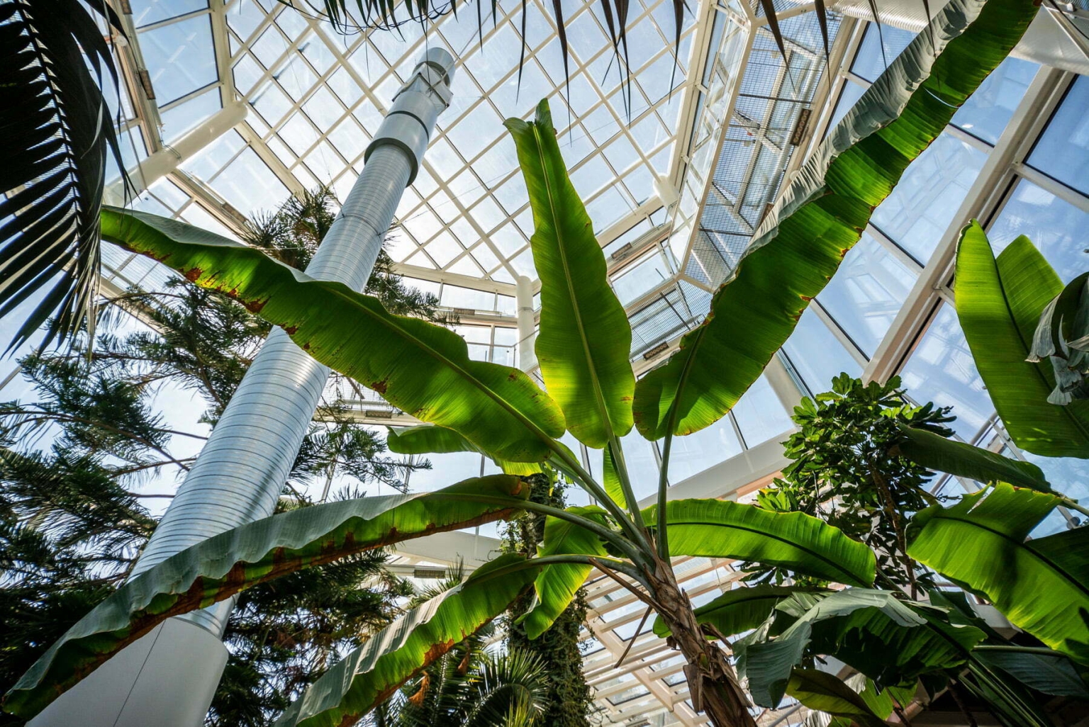 Tallinn Botanic Garden
