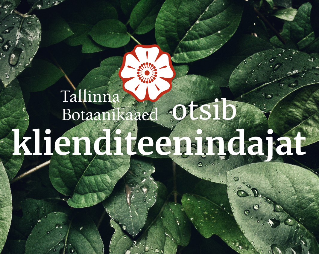 klienditeenindaja