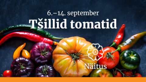 Tšillid tomatid_Tallinna Botaanikaaed