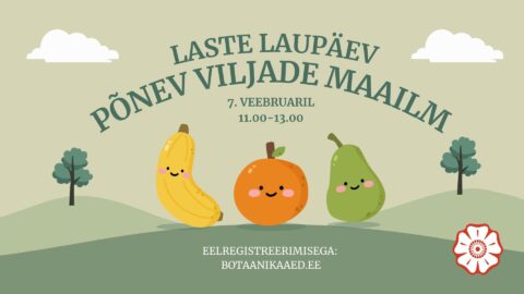 Laste laupäev viljade maailm