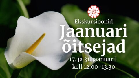 jaanuarikuu õitsejad Tallinna botaanikaaed Urmas Laansoo