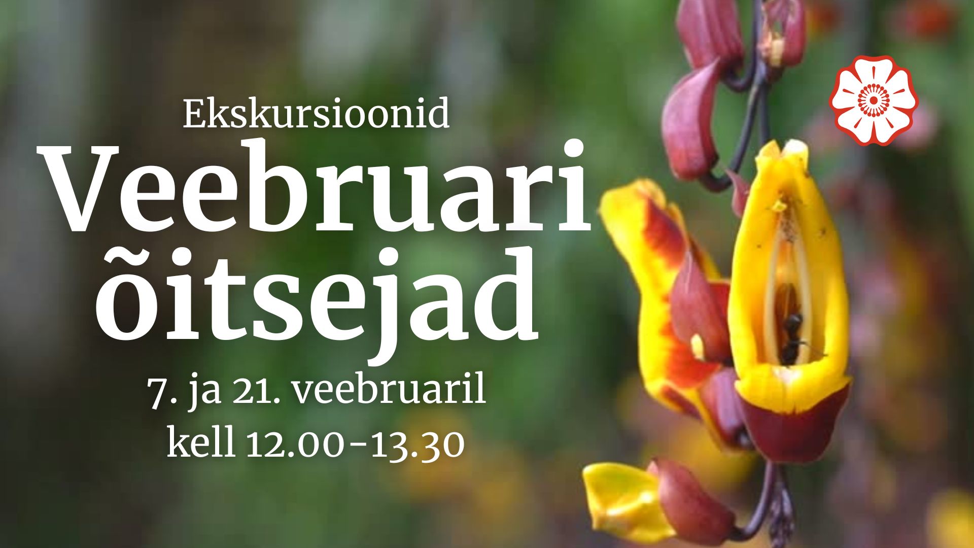 veebruarikuu õitsejad Tallinna Botaanikaaias