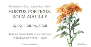 Tallinna Botaanikaaias avaneb botaanilise illustratsiooni näitus „Hortus poeticus: kolm aialille”