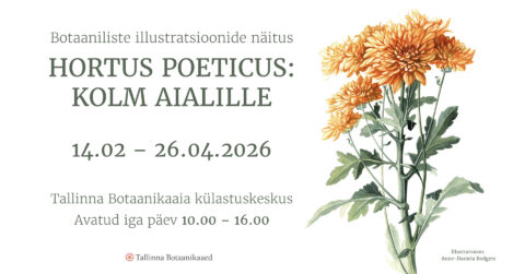 Tallinna Botaanikaaias avaneb botaanilise illustratsiooni n&auml;itus &bdquo;Hortus poeticus: kolm aialille&rdquo;