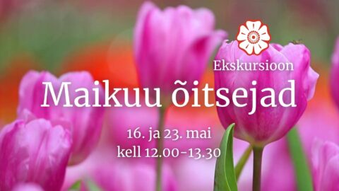 maikuu &otilde;itsejad